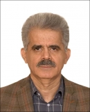بارانی - مهدی
