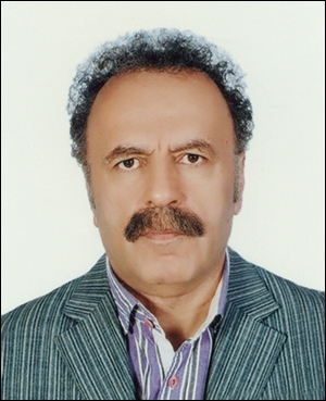 میرمحمد صادقی - محسن