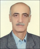 ترابی - سعید